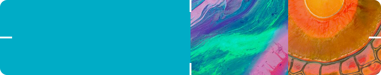 Clinical Evidence Summary - Irritable Bowel Syndrome and a Dual Strain Probiotic